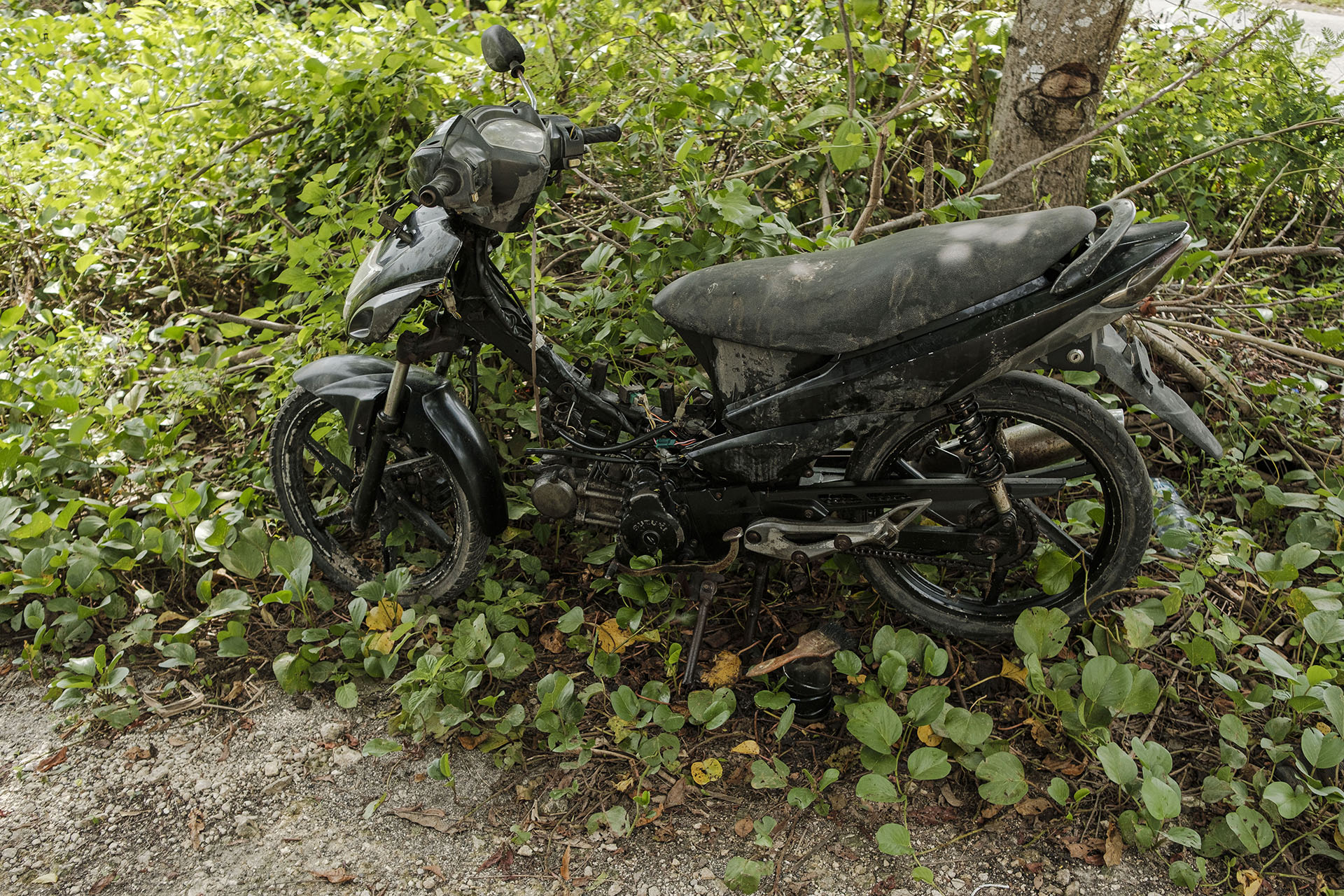 Nyoman’s motorbike, the only valuable he was able to save from the disaster